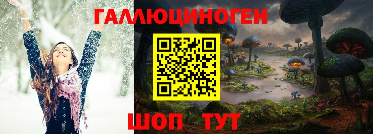 Псилоцибиновые грибы GOLDEN TEACHER Горно-Алтайск